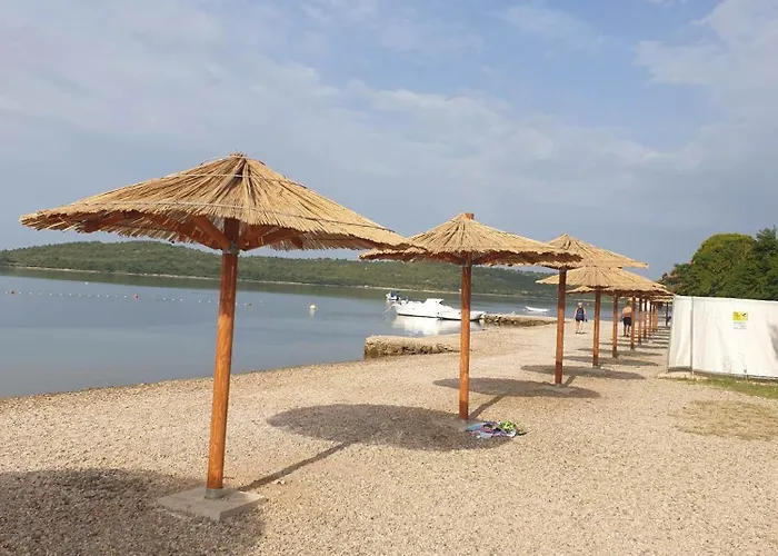 Bepino Terasa&parking Pirovac